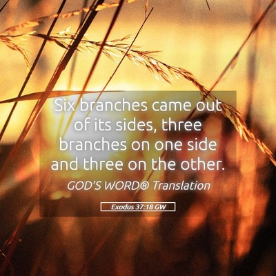 Picture 05 - Exodus 37:18 GW - Six branches came out of its sides, three - Bible Verse Picture
