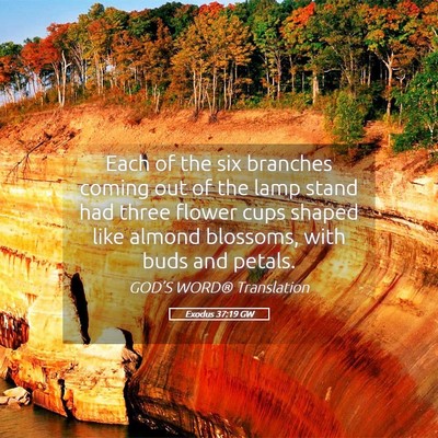 Picture 05 - Exodus 37:19 GW - Each of the six branches coming out of the lamp - Bible Verse Picture