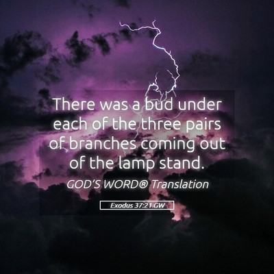 Picture 05 - Exodus 37:21 GW - There was a bud under each of the three pairs of - Bible Verse Picture