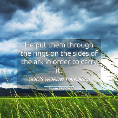 Picture 05 - Exodus 37:5 GW - He put them through the rings on the sides of the - Bible Verse Picture