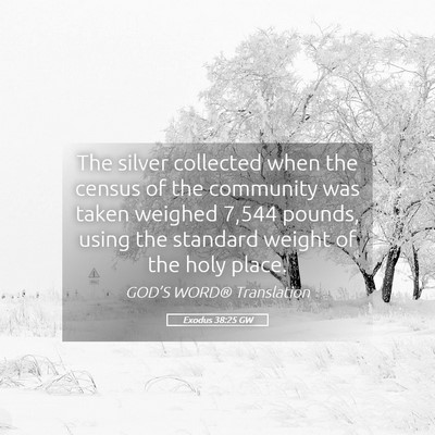 Picture 05 - Exodus 38:25 GW - The silver collected when the census of the - Bible Verse Picture