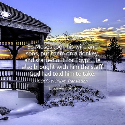 Picture 05 - Exodus 4:20 GW - So Moses took his wife and sons, put them on a - Bible Verse Picture