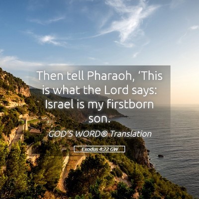 Picture 05 - Exodus 4:22 GW - Then tell Pharaoh, ‘This is what the Lord says: - Bible Verse Picture