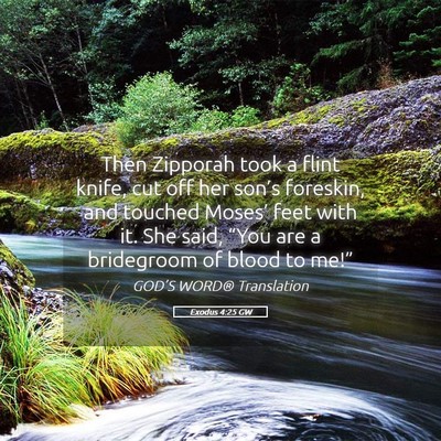 Picture 05 - Exodus 4:25 GW - Then Zipporah took a flint knife, cut off her - Bible Verse Picture