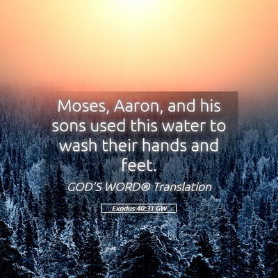 Picture 05 - Exodus 40:31 GW - Moses, Aaron, and his sons used this water to - Bible Verse Picture