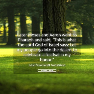 Picture 05 - Exodus 5:1 GW - Later Moses and Aaron went to Pharaoh and said, - Bible Verse Picture