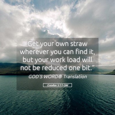 Picture 05 - Exodus 5:11 GW - Get your own straw wherever you can find it, but - Bible Verse Picture
