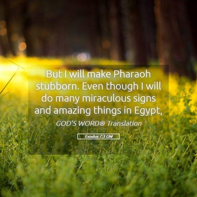 Picture 05 - Exodus 7:3 GW - But I will make Pharaoh stubborn. Even though I - Bible Verse Picture