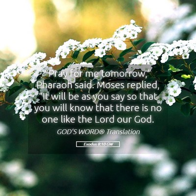 Picture 05 - Exodus 8:10 GW - “Pray for me tomorrow,” Pharaoh said. Moses - Bible Verse Picture