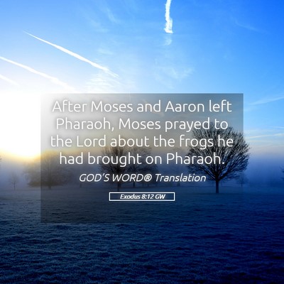 Picture 05 - Exodus 8:12 GW - After Moses and Aaron left Pharaoh, Moses prayed - Bible Verse Picture