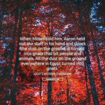 Picture 05 - Exodus 8:17 GW - When Moses told him, Aaron held out the staff in - Bible Verse Picture