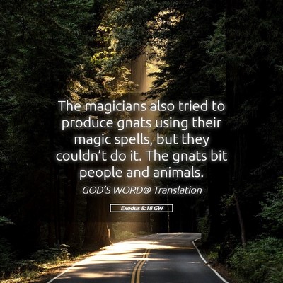 Picture 05 - Exodus 8:18 GW - The magicians also tried to produce gnats using - Bible Verse Picture