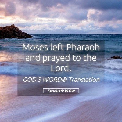 Picture 05 - Exodus 8:30 GW - Moses left Pharaoh and prayed to the - Bible Verse Picture