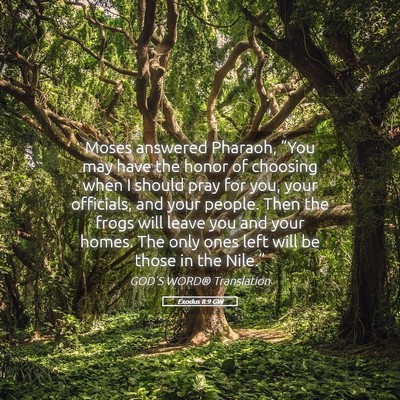 Picture 05 - Exodus 8:9 GW - Moses answered Pharaoh, “You may have the honor - Bible Verse Picture
