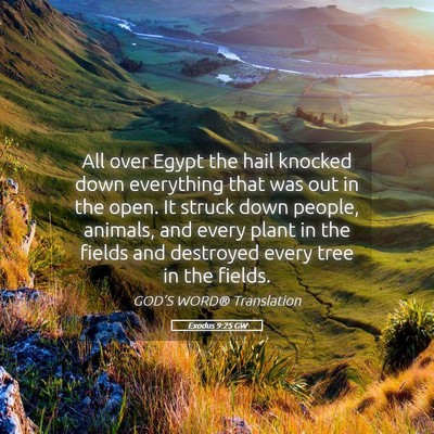 Picture 05 - Exodus 9:25 GW - All over Egypt the hail knocked down everything - Bible Verse Picture