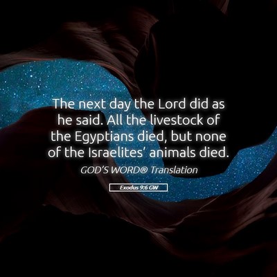 Picture 05 - Exodus 9:6 GW - The next day the Lord did as he said. All the - Bible Verse Picture