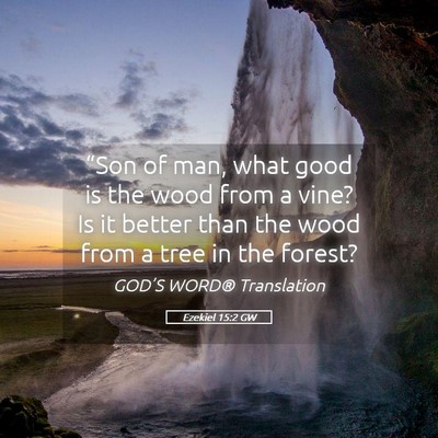 Picture 05 - Ezekiel 15:2 GW - “Son of man, what good is the wood from a vine? - Bible Verse Picture