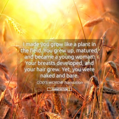 Picture 05 - Ezekiel 16:7 GW - I made you grow like a plant in the field. You - Bible Verse Picture