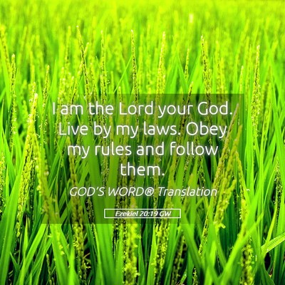 Picture 05 - Ezekiel 20:19 GW - I am the Lord your God. Live by my laws. Obey my - Bible Verse Picture