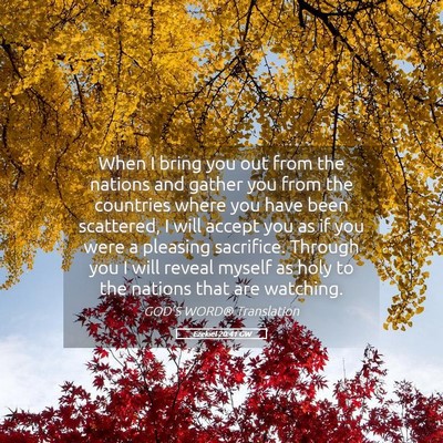 Picture 05 - Ezekiel 20:41 GW - When I bring you out from the nations and gather - Bible Verse Picture