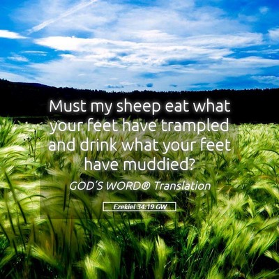 Picture 05 - Ezekiel 34:19 GW - Must my sheep eat what your feet have trampled - Bible Verse Picture