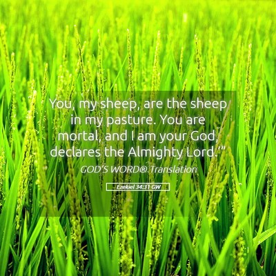 Picture 05 - Ezekiel 34:31 GW - You, my sheep, are the sheep in my pasture. You - Bible Verse Picture