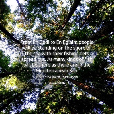Picture 05 - Ezekiel 47:10 GW - From En Gedi to En Eglaim people will be standing - Bible Verse Picture