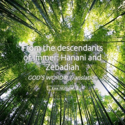 Picture 05 - Ezra 10:20 GW - From the descendants of Immer: Hanani and - Bible Verse Picture