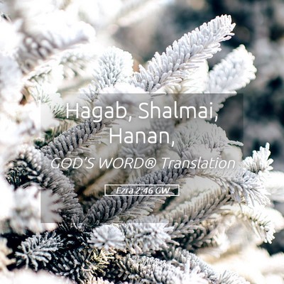 Picture 05 - Ezra 2:46 GW - Hagab, Shalmai, - Bible Verse Picture