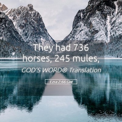 Picture 05 - Ezra 2:66 GW - They had 736 horses, 245 - Bible Verse Picture