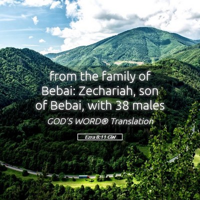 Picture 05 - Ezra 8:11 GW - from the family of Bebai: Zechariah, son of - Bible Verse Picture