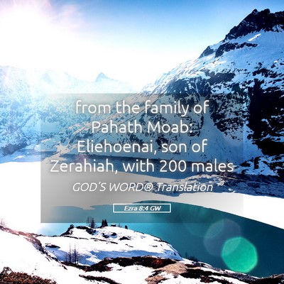 Picture 05 - Ezra 8:4 GW - from the family of Pahath Moab: Eliehoenai, son - Bible Verse Picture