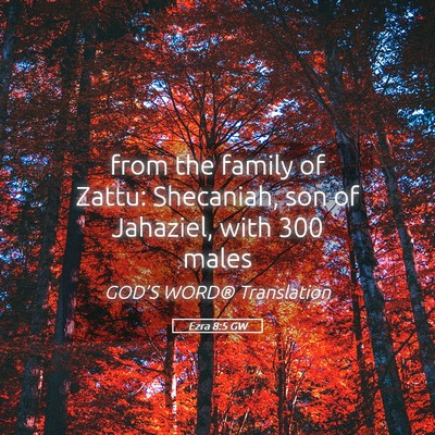 Picture 05 - Ezra 8:5 GW - from the family of Zattu: Shecaniah, son of - Bible Verse Picture