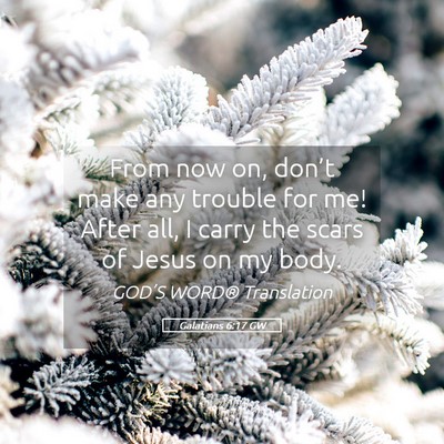 Picture 05 - Galatians 6:17 GW - From now on, don’t make any trouble for me! - Bible Verse Picture