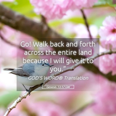 Picture 05 - Genesis 13:17 GW - Go! Walk back and forth across the entire land - Bible Verse Picture