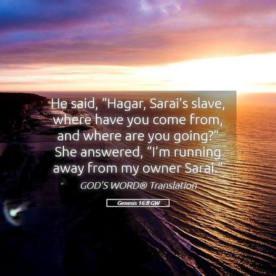 Picture 05 - Genesis 16:8 GW - He said, “Hagar, Sarai’s slave, where have - Bible Verse Picture