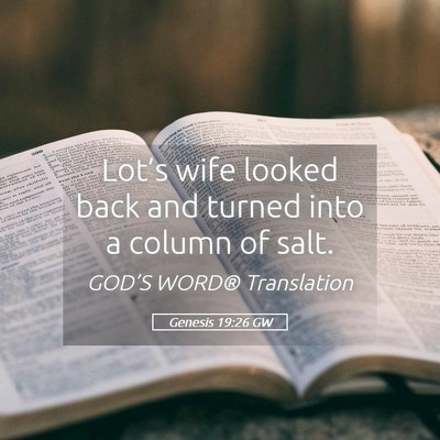 Picture 05 - Genesis 19:26 GW - Lot’s wife looked back and turned into a column - Bible Verse Picture