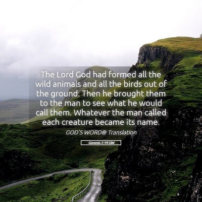 Picture 05 - Genesis 2:19 GW - The Lord God had formed all the wild animals and - Bible Verse Picture
