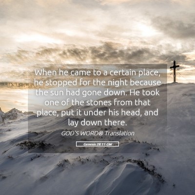 Picture 05 - Genesis 28:11 GW - When he came to a certain place, he stopped for - Bible Verse Picture