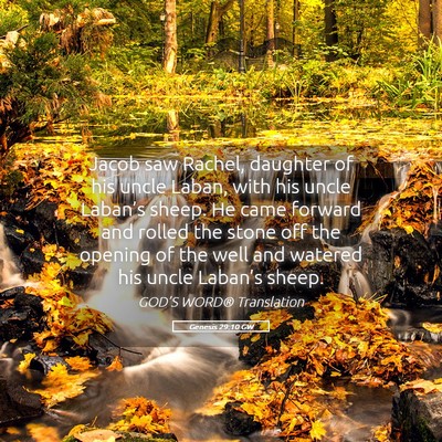 Picture 05 - Genesis 29:10 GW - Jacob saw Rachel, daughter of his uncle Laban, - Bible Verse Picture