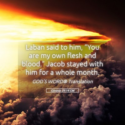 Picture 05 - Genesis 29:14 GW - Laban said to him, “You are my own flesh and - Bible Verse Picture