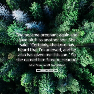 Picture 05 - Genesis 29:33 GW - She became pregnant again and gave birth to - Bible Verse Picture