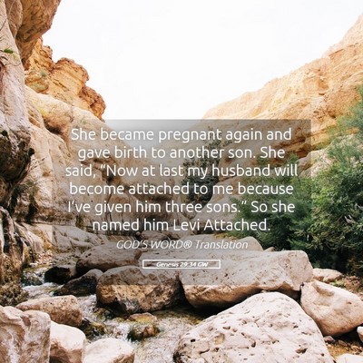Picture 05 - Genesis 29:34 GW - She became pregnant again and gave birth to - Bible Verse Picture