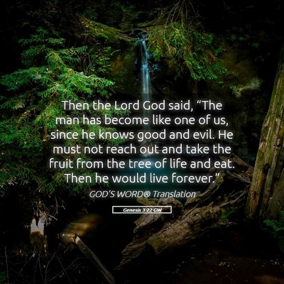 Picture 05 - Genesis 3:22 GW - Then the Lord God said, “The man has become - Bible Verse Picture