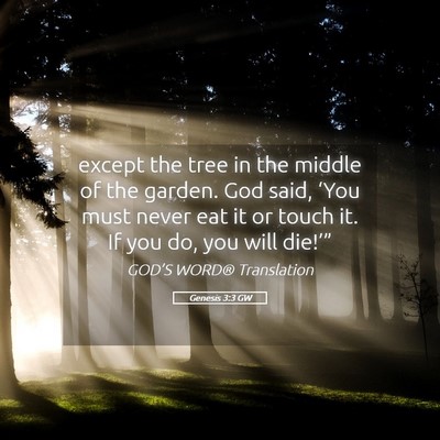 Picture 05 - Genesis 3:3 GW - except the tree in the middle of the garden. God - Bible Verse Picture
