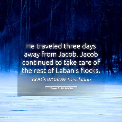 Picture 05 - Genesis 30:36 GW - He traveled three days away from Jacob. Jacob - Bible Verse Picture