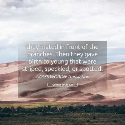 Picture 05 - Genesis 30:39 GW - they mated in front of the branches. Then they - Bible Verse Picture