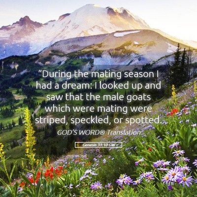 Picture 05 - Genesis 31:10 GW - “During the mating season I had a dream: I - Bible Verse Picture