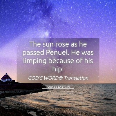 Picture 05 - Genesis 32:31 GW - The sun rose as he passed Penuel. He was limping - Bible Verse Picture