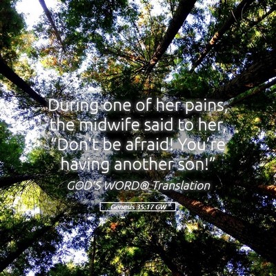 Picture 05 - Genesis 35:17 GW - During one of her pains, the midwife said to her, - Bible Verse Picture
